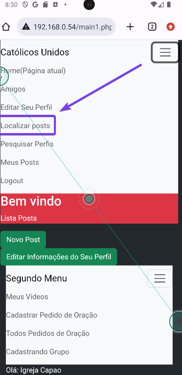 Menu no Celular Localizar Posts